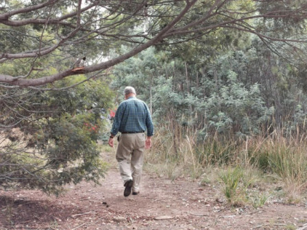 448px x 336px - Walking Group at Louisa Street Reserve - Friends of Triabunna Reserves Blog